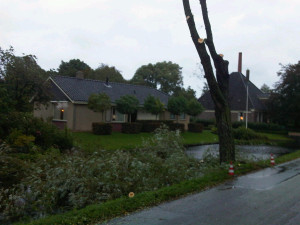 IMG00284-20131013-1820